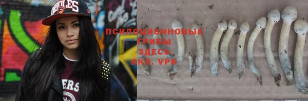 МДМА Осинники