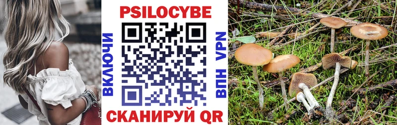 дарнет шоп  Нерчинск  Галлюциногенные грибы Psilocybine cubensis 